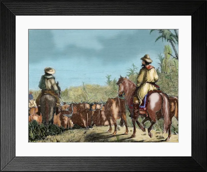 Framed Print : Argentina. Gauchos driving cattle Framed Print : Argentina. Gauchos driving cattle