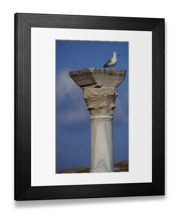 Framed Print : Ukraine. Chersonesus Taurica ruins Framed Print : Ukraine. Chersonesus Taurica ruins