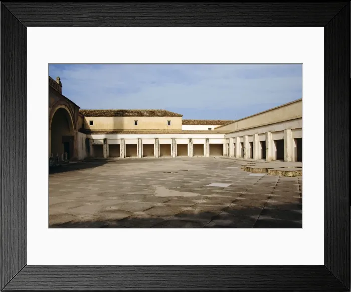 Framed Print : Spain. Andalusia. Seville. Island of the Charterhouse. Monas