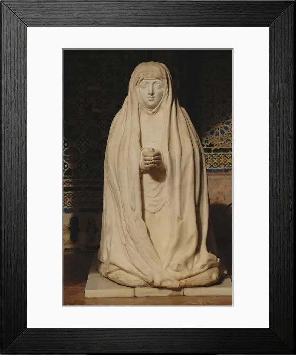 Framed Print : Spain. Andalusia. Seville. Island of the Charterhouse. Monas Framed Print : Spain. Andalusia. Seville. Island of the Charterhouse. Monas