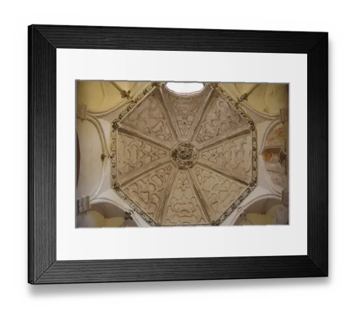 Framed Print : Spain. Andalusia. Seville. Island of the Charterhouse. Monas Framed Print : Spain. Andalusia. Seville. Island of the Charterhouse. Monas