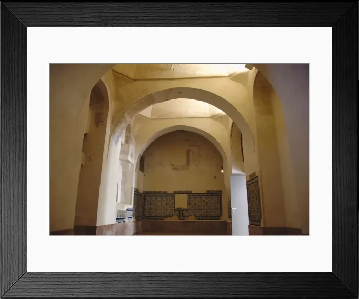 Framed Print : Spain. Andalusia. Seville. Island of the Charterhouse. Monas Framed Print : Spain. Andalusia. Seville. Island of the Charterhouse. Monas