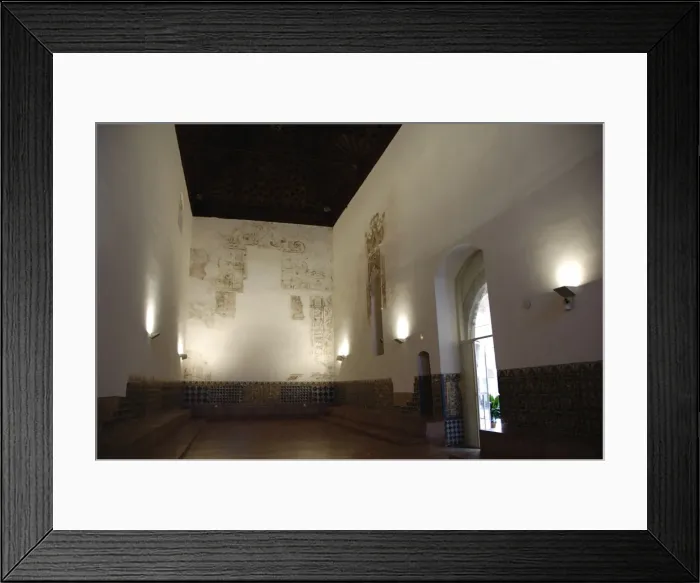Framed Print : Spain. Andalusia. Seville. Island of the Charterhouse. Monas Framed Print : Spain. Andalusia. Seville. Island of the Charterhouse. Monas