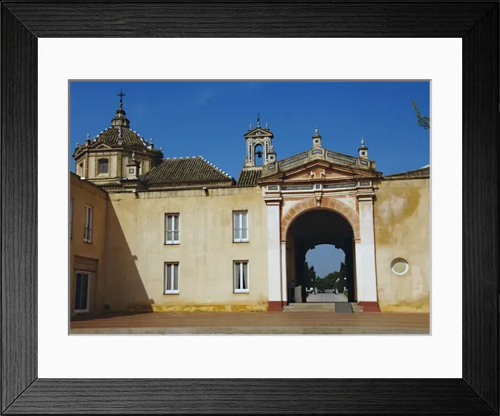 Framed Print : Spain. Andalusia. Seville. Island of the Charterhouse. Monas Framed Print : Spain. Andalusia. Seville. Island of the Charterhouse. Monas