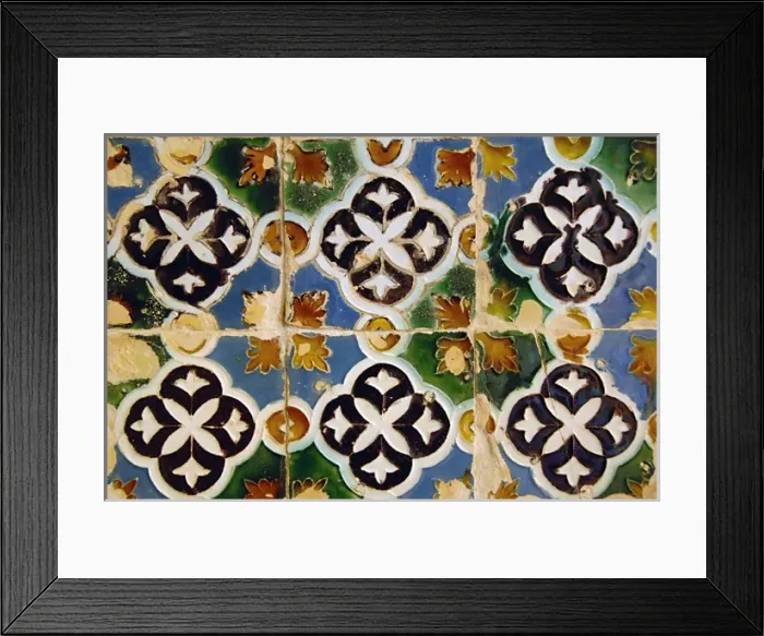Framed Print : Spain. Andalusia. Seville. Island of the Charterhouse. Monas Framed Print : Spain. Andalusia. Seville. Island of the Charterhouse. Monas