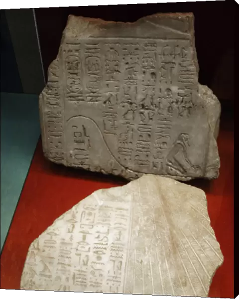 Egyptian hieroglyphic writing