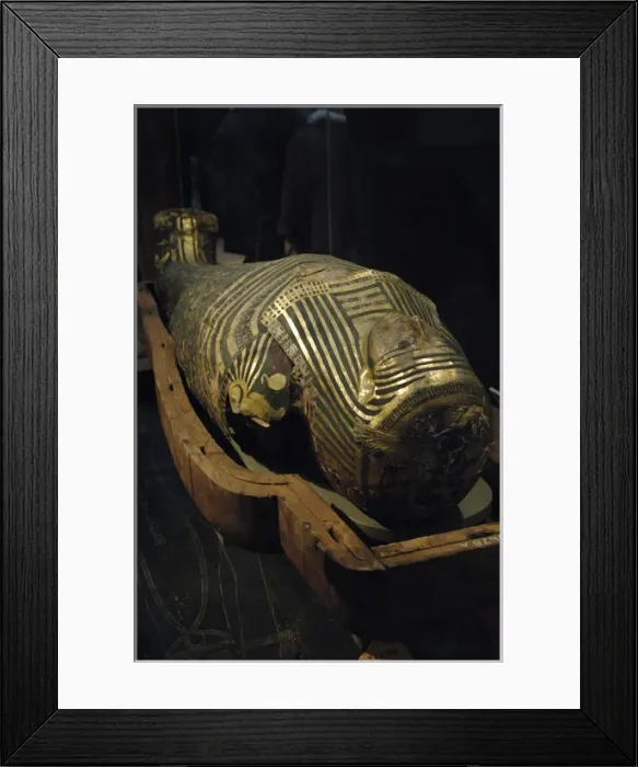 Framed Print : Mummy-case of Hornedjitef Framed Print : Mummy-case of Hornedjitef