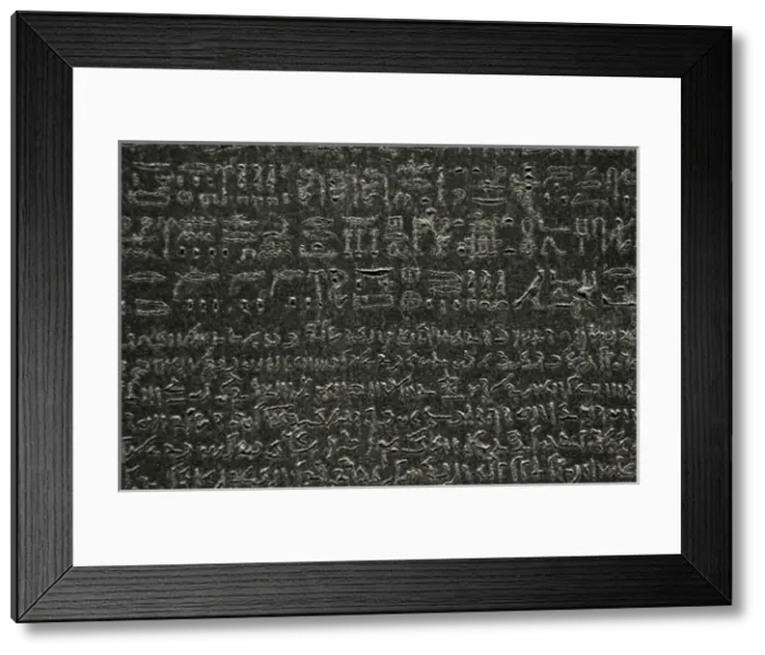 Framed Print : The Rosetta Stone. Hieroglyphical and demotic scripture Framed Print : The Rosetta Stone. Hieroglyphical and demotic scripture