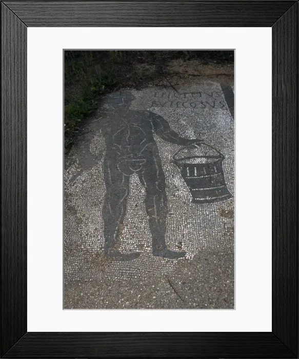 Framed Print : Ostia Antica. Mosaic of Baths of Buticosus Framed Print : Ostia Antica. Mosaic of Baths of Buticosus