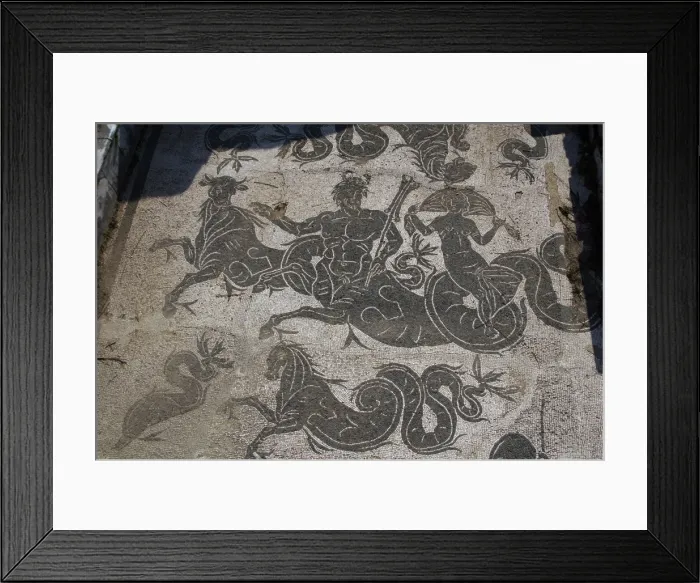 Framed Print : Ostia Antica. Mosaic of Baths of Buticosus Framed Print : Ostia Antica. Mosaic of Baths of Buticosus