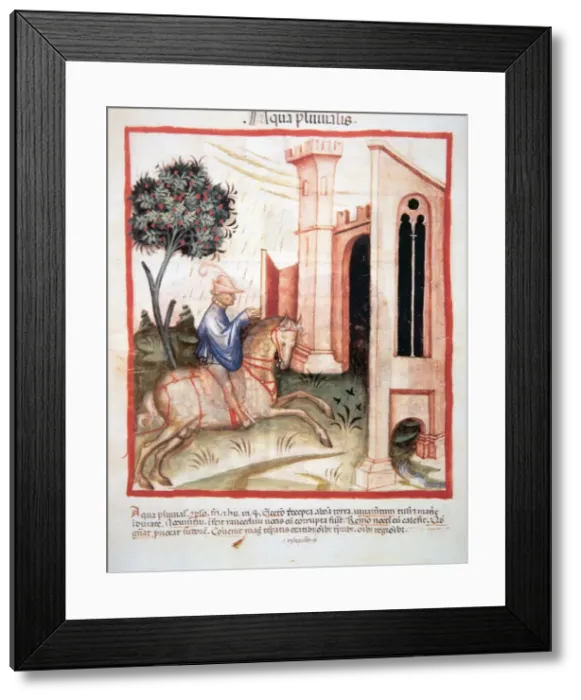 Framed Print : Tacuinum Sanitatis. Man riding in the rain Framed Print : Tacuinum Sanitatis. Man riding in the rain