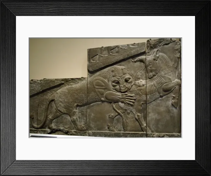 Framed Print : Iran. Persepolis. Palace of Darius I. Relief of the Apadana Framed Print : Iran. Persepolis. Palace of Darius I. Relief of the Apadana