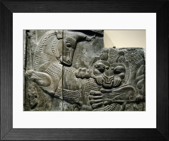 Framed Print : Iran. Persepolis. Palace of Darius I. Relief of the Apadana Framed Print : Iran. Persepolis. Palace of Darius I. Relief of the Apadana