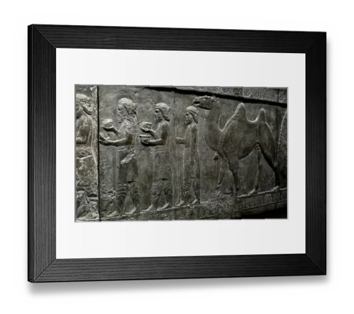 Framed Print : Iran. Persepolis. Palace of Darius I. Relief of the Apadana Framed Print : Iran. Persepolis. Palace of Darius I. Relief of the Apadana