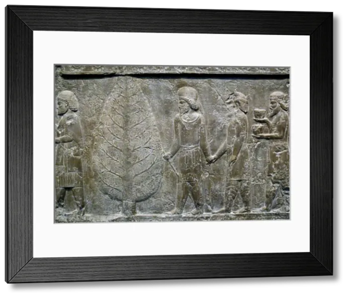 Framed Print : Iran. Persepolis. Palace of Darius I. Relief of the Apadana Framed Print : Iran. Persepolis. Palace of Darius I. Relief of the Apadana