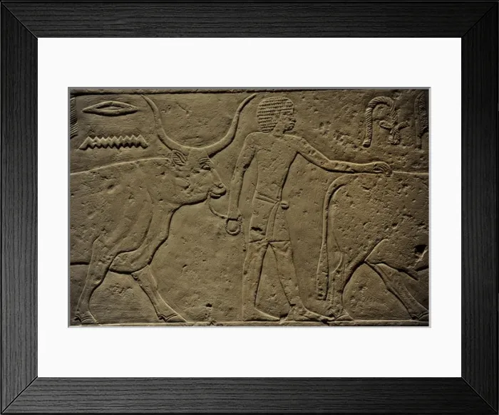Framed Print : Offering scene. From Ka-em-rehus tomb at Sakkara. Carlsberg Framed Print : Offering scene. From Ka-em-rehus tomb at Sakkara. Carlsberg