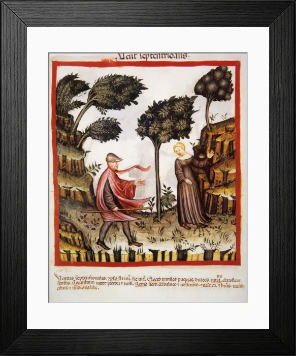 Framed Print : Tacuinum Sanitatis. 14th century. Medieval handbook of health Framed Print : Tacuinum Sanitatis. 14th century. Medieval handbook of health