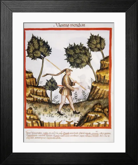 Framed Print : Tacuinum Sanitatis. 14th century. Medieval handbook of health Framed Print : Tacuinum Sanitatis. 14th century. Medieval handbook of health