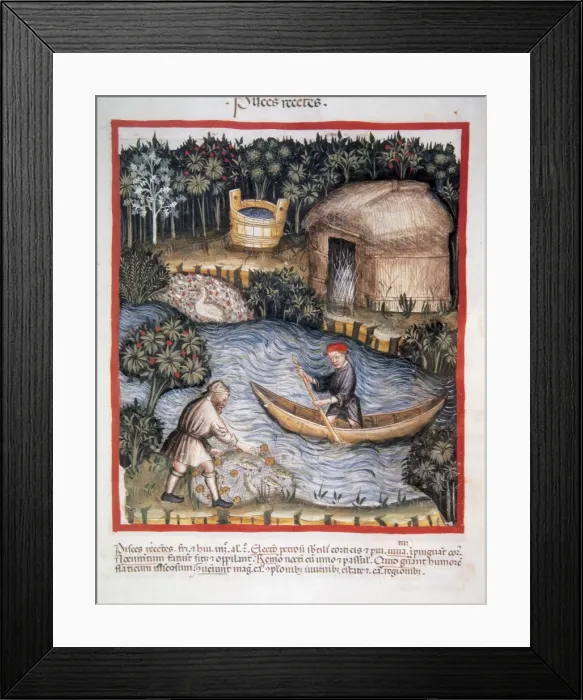 Framed Print : Tacuinum Sanitatis. 14th century. Medieval handbook of healt Framed Print : Tacuinum Sanitatis. 14th century. Medieval handbook of healt