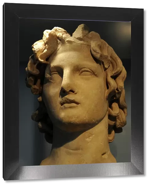 Alexander III the Great (356-323 B. C. ). King of Macedonia (3
