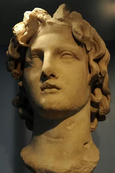 Alexander III the Great (356-323 B. C. ). King of Macedonia (3