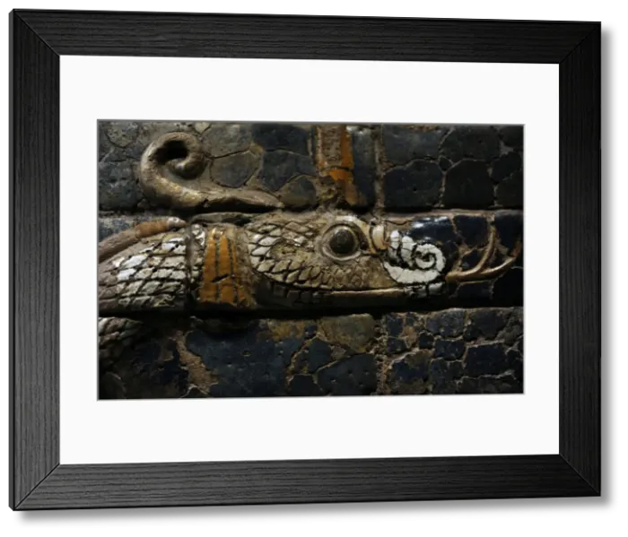 Framed Print : Mesopotamian art. Neo-Babylonian. Ishtar Gate. Dragon. Ny C