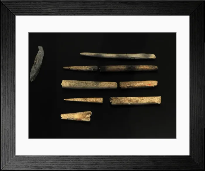 Framed Print : Tools of flint and animal bones. Performed by Homo sapiens Framed Print : Tools of flint and animal bones. Performed by Homo sapiens