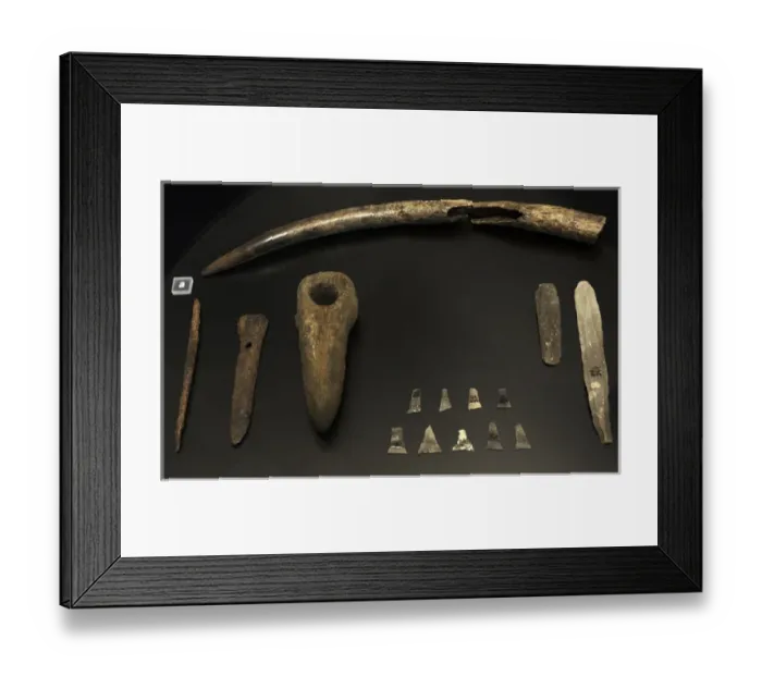 Framed Print : Funerary trappings of a mans grave at Dragsholm. 3800 BC Framed Print : Funerary trappings of a mans grave at Dragsholm. 3800 BC