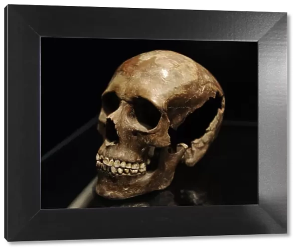 Skull of a young girl. 18-20 years old. 3500-3400 BC