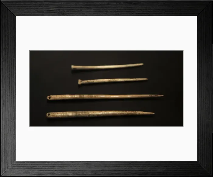 Framed Print : Bone pins. Neolithic. Denmark Framed Print : Bone pins. Neolithic. Denmark