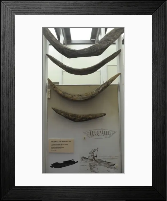 Framed Print : Remains of a fishing boat. Wood. 12th-13th centuries Framed Print : Remains of a fishing boat. Wood. 12th-13th centuries