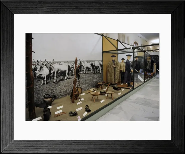 Framed Print : Museum of Ethnography. Interior. Budapest Framed Print : Museum of Ethnography. Interior. Budapest