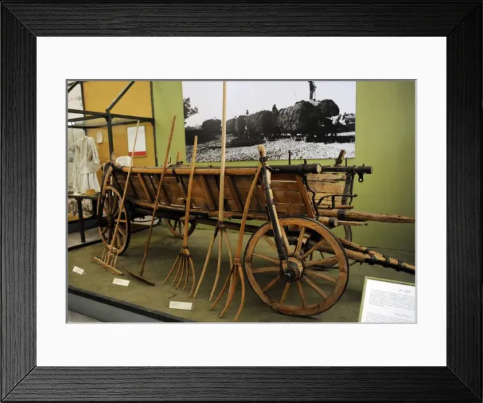 Framed Print : Tools. Hungary Framed Print : Tools. Hungary
