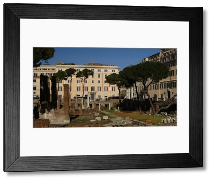 Framed Print : Italy. Rome. Sacred area of Largo di Torre Argentina. Temple Framed Print : Italy. Rome. Sacred area of Largo di Torre Argentina. Temple