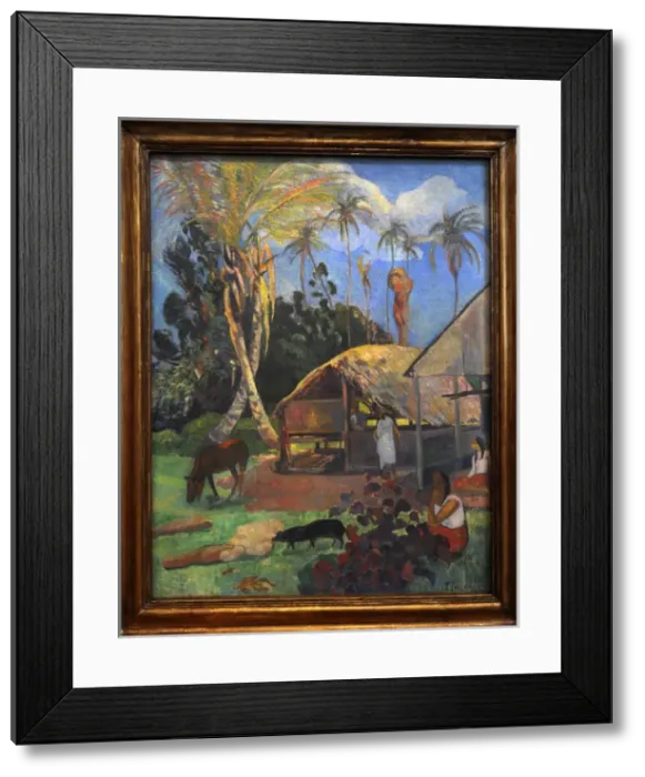 Framed Print : Paul Gauguin (1848-1903). French painter. Black Pigs, 1891 Framed Print : Paul Gauguin (1848-1903). French painter. Black Pigs, 1891