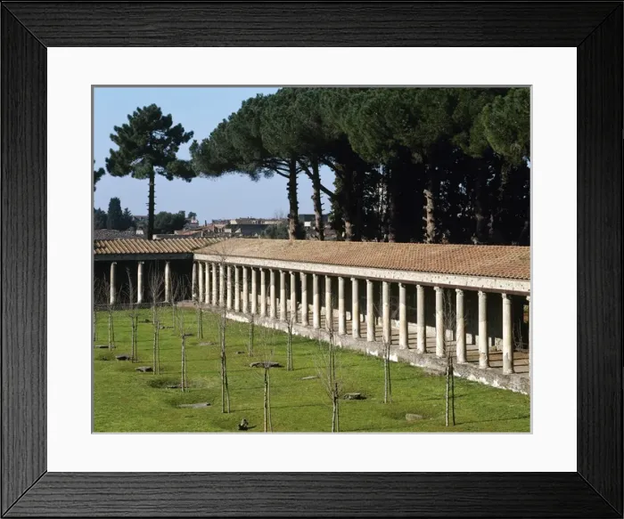 Framed Print : Italy. Pompeii. Great gym Framed Print : Italy. Pompeii. Great gym
