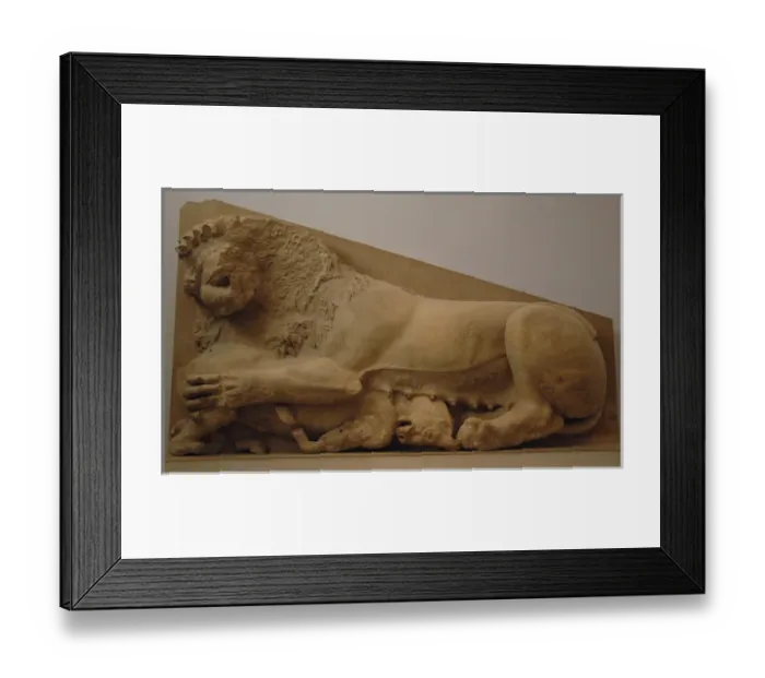 Framed Print : Lioness attacking a bull. Relief. Probably part of the origi Framed Print : Lioness attacking a bull. Relief. Probably part of the origi