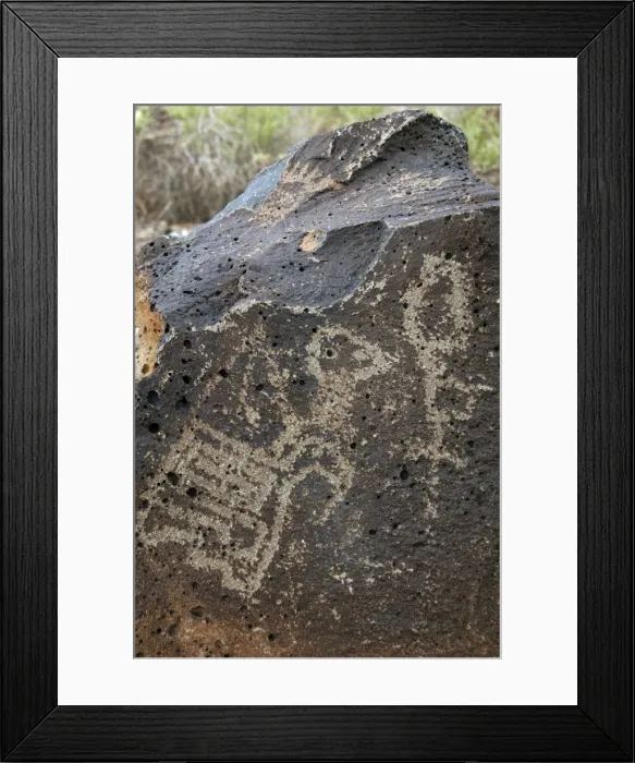 Framed Print : Petroglyph National Monument. Petroglyphs. New Mexico. USA Framed Print : Petroglyph National Monument. Petroglyphs. New Mexico. USA