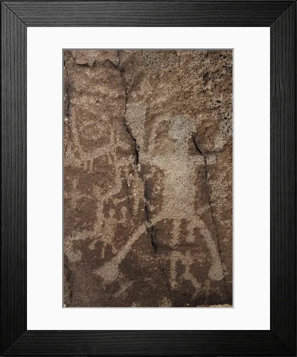 Framed Print : Petroglyph National Monument. Petroglyphs. New Mexico. USA Framed Print : Petroglyph National Monument. Petroglyphs. New Mexico. USA