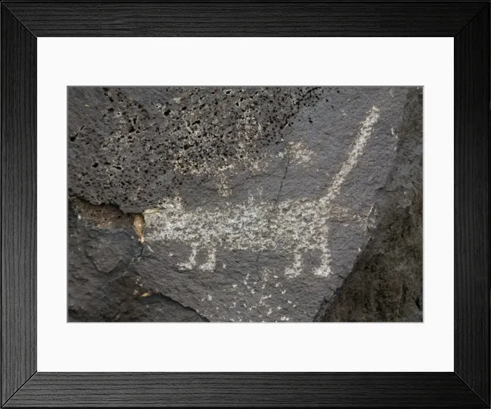 Framed Print : Petroglyph National Monument. Petroglyphs. New Mexico. USA Framed Print : Petroglyph National Monument. Petroglyphs. New Mexico. USA