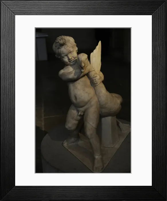 Framed Print : Boy with the Goose. Roman scupture Framed Print : Boy with the Goose. Roman scupture