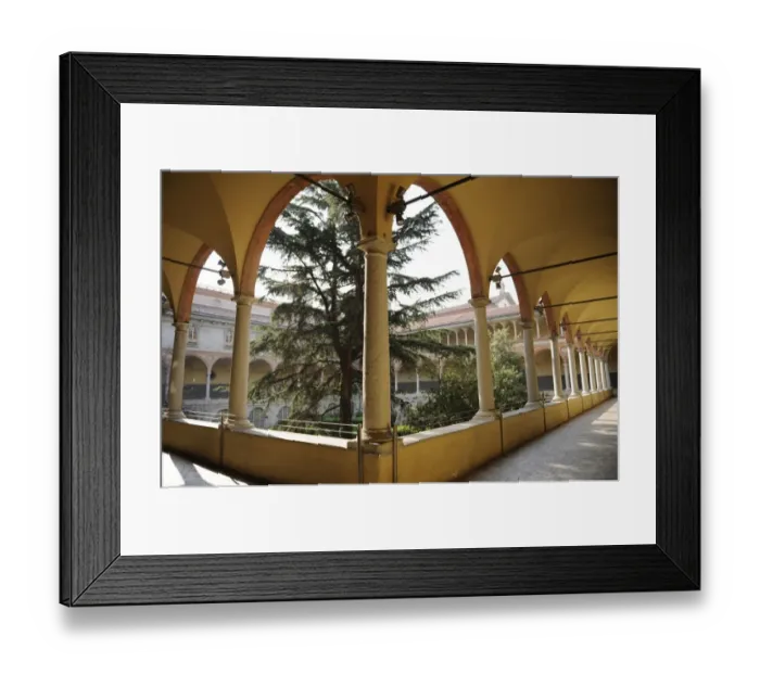 Framed Print : Milan. Italy. The Science and Technology Museum Leonardo da Framed Print : Milan. Italy. The Science and Technology Museum Leonardo da