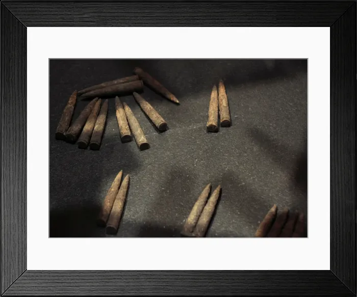 Framed Print : History. World War II. Latvia. Bullets found in the field of Framed Print : History. World War II. Latvia. Bullets found in the field of