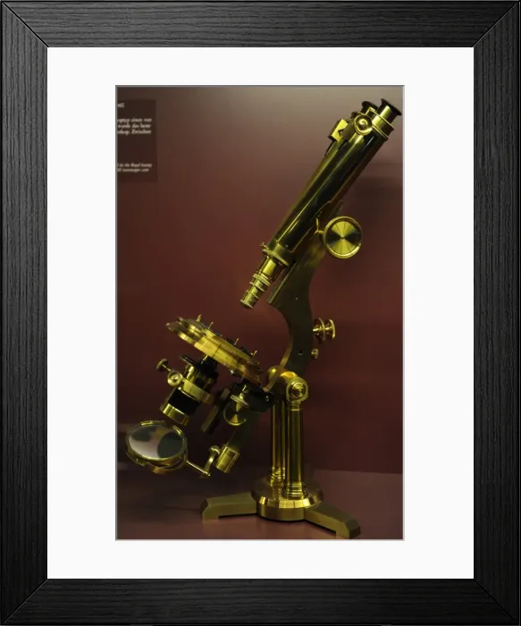 Framed Print : Binocular microscope large Best. London, around 1890 Framed Print : Binocular microscope large Best. London, around 1890