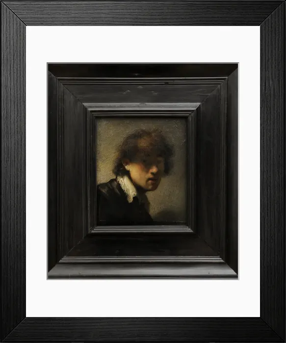Framed Print : Self-portrait, 1628-1629, by Rembrandt Harmenszoon van Rijn Framed Print : Self-portrait, 1628-1629, by Rembrandt Harmenszoon van Rijn