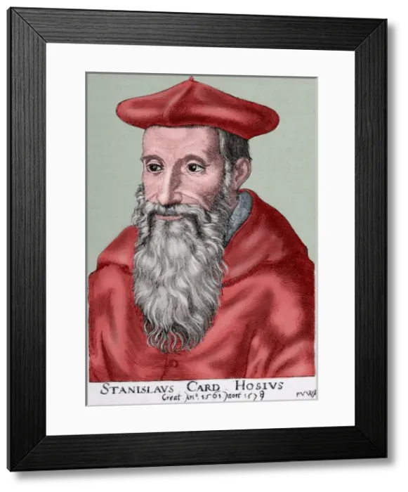 Framed Print : Stanislaus Hosius (1504-1579). Engraving. Colored Framed Print : Stanislaus Hosius (1504-1579). Engraving. Colored