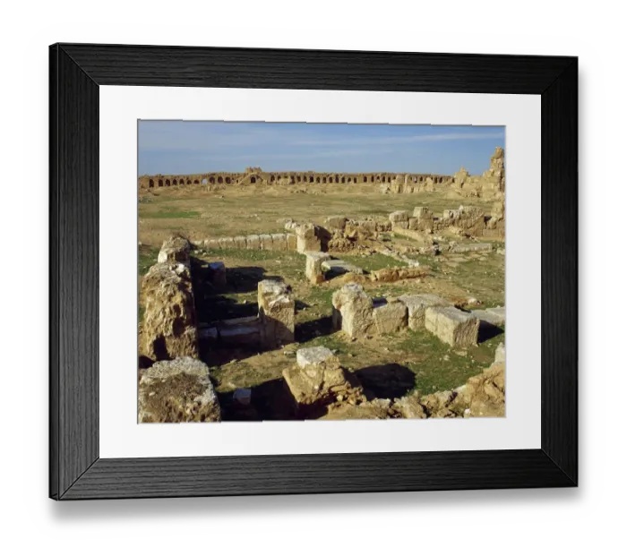 Framed Print : Syria. Resafa. Archaeological site. Basilica of Saint Sergi Framed Print : Syria. Resafa. Archaeological site. Basilica of Saint Sergi