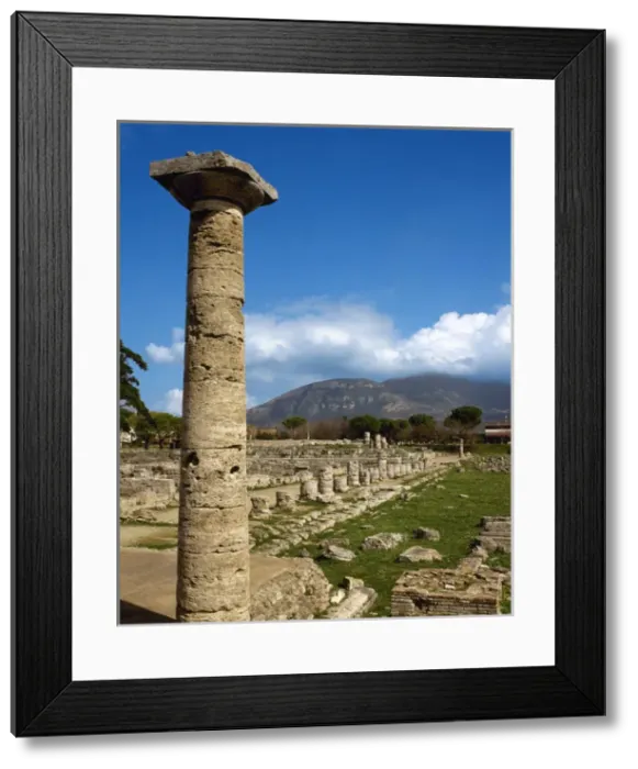 Framed Print : Italy. Paestum. Ruins. Campania. Southern Italy Framed Print : Italy. Paestum. Ruins. Campania. Southern Italy