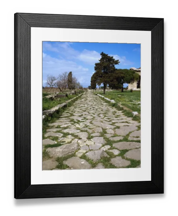 Framed Print : Italy. Paestum. Sacred Way Framed Print : Italy. Paestum. Sacred Way