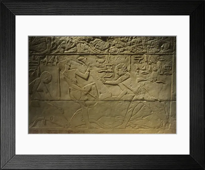Framed Print : Tomb relief depicting a butchering scene. Egypt Framed Print : Tomb relief depicting a butchering scene. Egypt